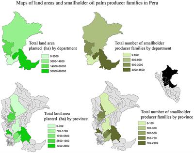 Smallholder Oil Palm Production in the Peruvian Amazon: Rethinking the Promise of Associations and Partnerships for Economically Sustainable Livelihoods